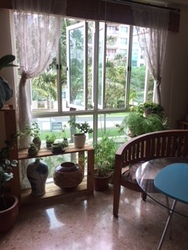 Estella Gardens (D17), Condominium #178304262